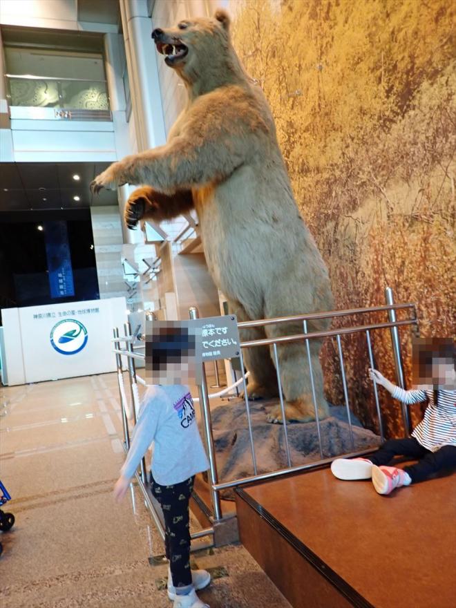 r7_shoub_teigakunen_ensoku_4