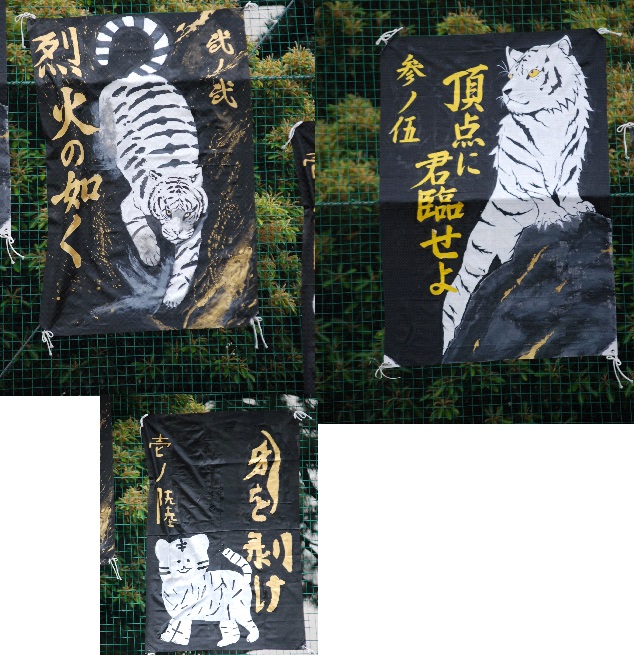 白