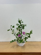 華道2