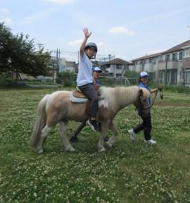 poni5.jpg