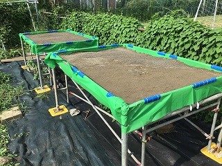 高床式栽培ベッド7