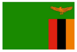 ザンビアにっき5（ザンビア国旗）