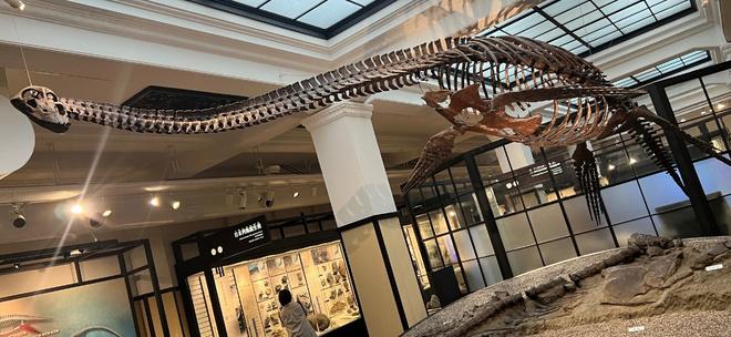 【校外学習レポート/国立科学博物館】4