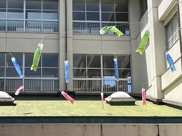 koinobori1