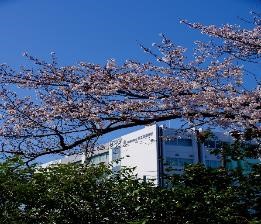 2504着任式始業式4