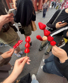 25052学年社会見学1