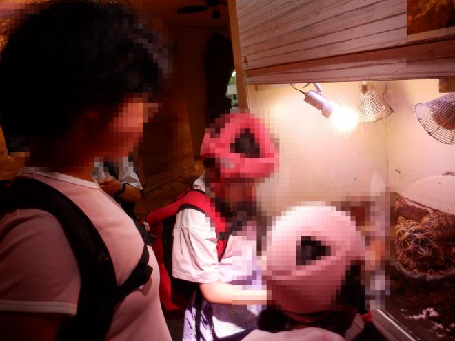 r7shousyuugakuryokou2