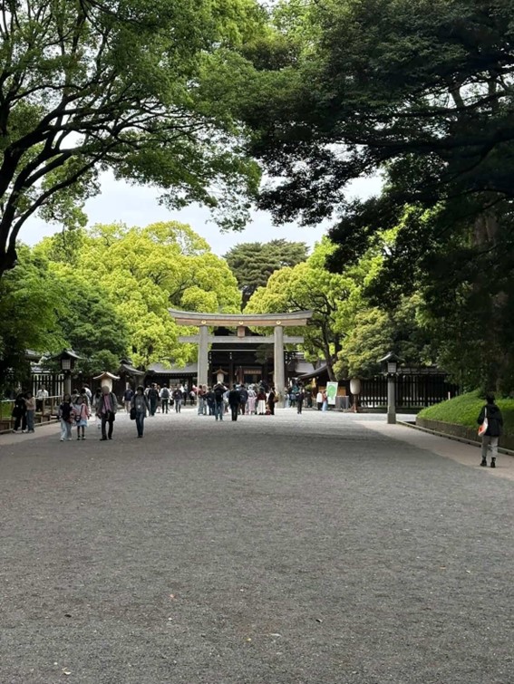 遠足6