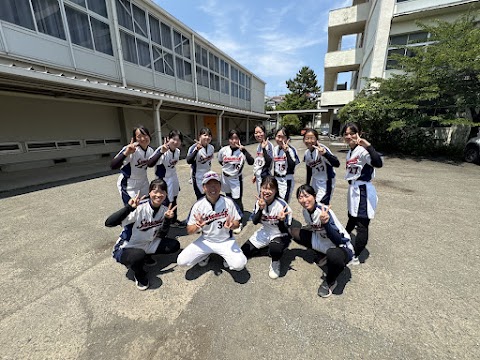 soft10