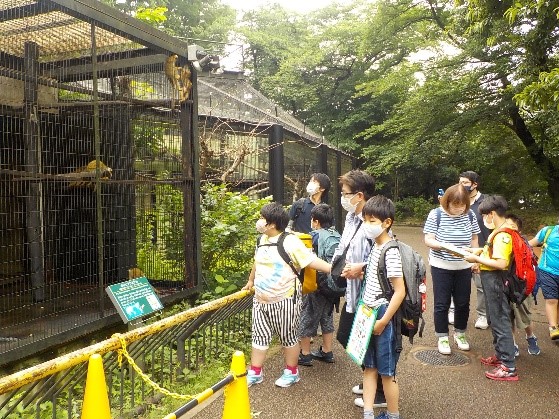 夢見ヶ崎動物公園4