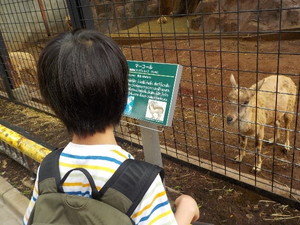 夢見ヶ崎動物公園1