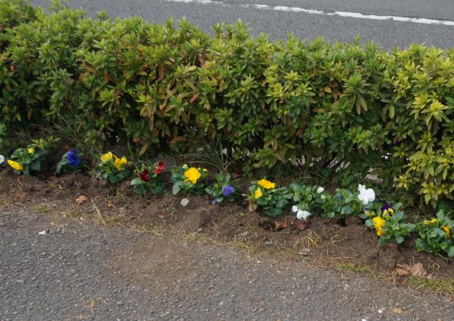 R7地域貢献デー01