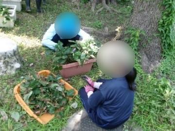 1年生グリーンサービスユニットのようす02