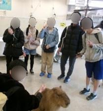 よこひな通信令和7年度3月号04