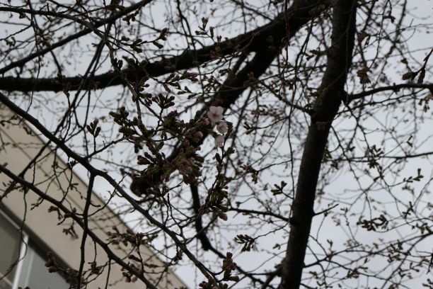 3月19日(木曜日)の生徒のようす02