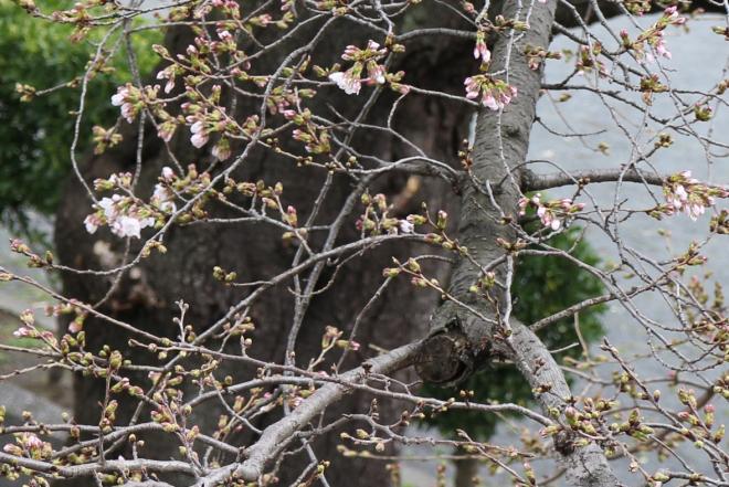 3月19日(木曜日)の生徒のようす04