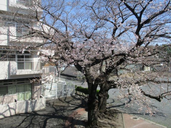 3月24日(火曜日)の生徒のようす18