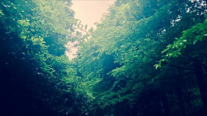 2年生宿泊学習04