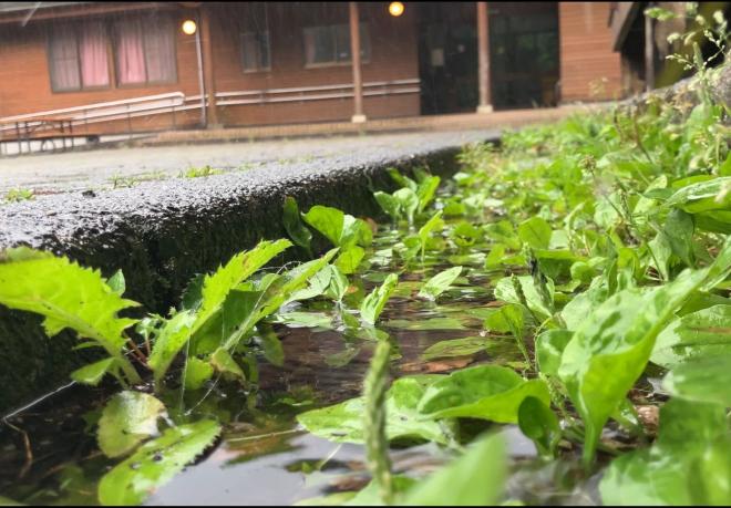 5月17日2年生宿泊学習03