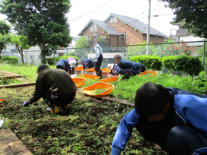 1年生作業学習06