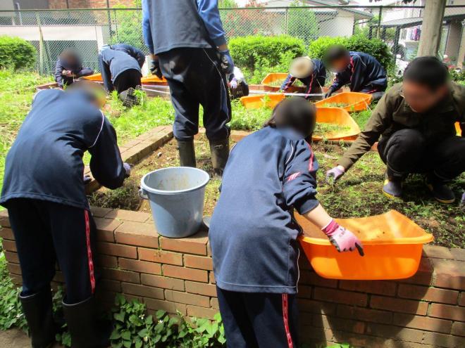 1年生作業学習07