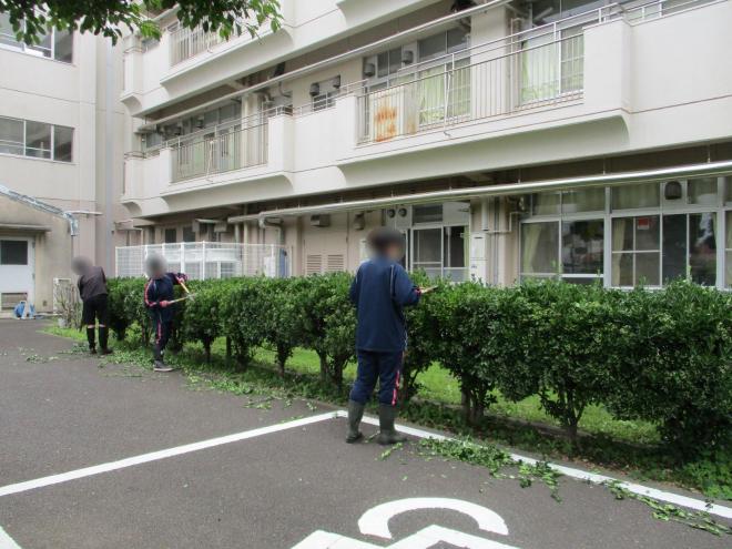 2年生グリーンサービスユニット01