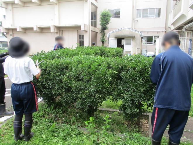 2年生グリーンサービスユニット02