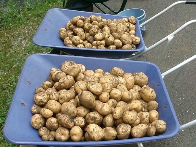 6月24日(火曜日)の生徒のようす02