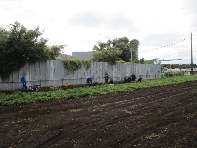 11月6日(木曜日)の生徒のようす01