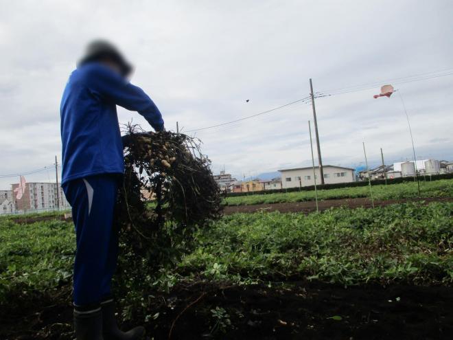 11月6日(木曜日)の生徒のようす04