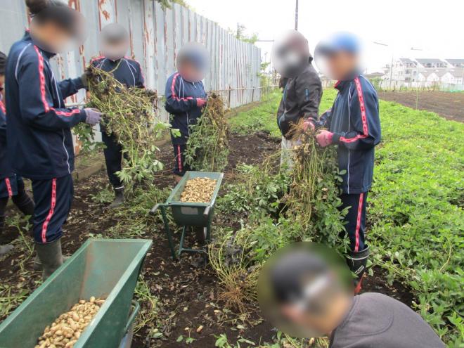 11月6日(木曜日)の生徒のようす07