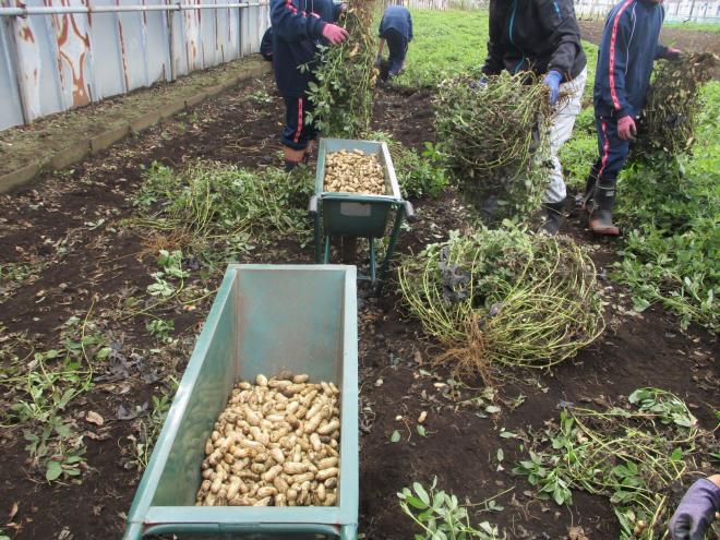 11月6日(木曜日)の生徒のようす08