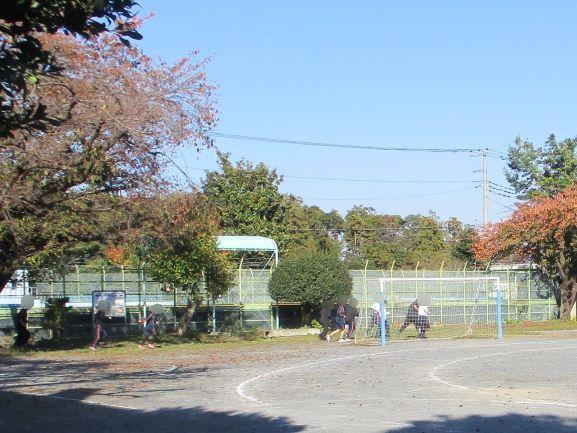 11月14日(金曜日)の生徒のようす04