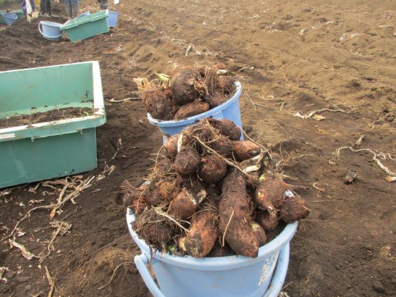 12月19日(金曜日)の生徒のようす08