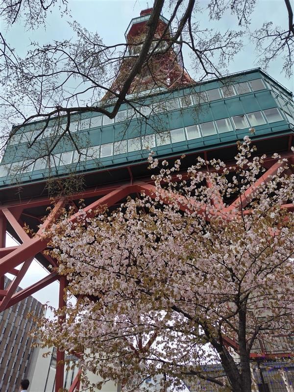 3年生修学旅行写真0422_12