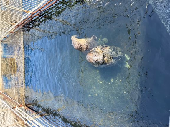 3年生修学旅行写真0423_11