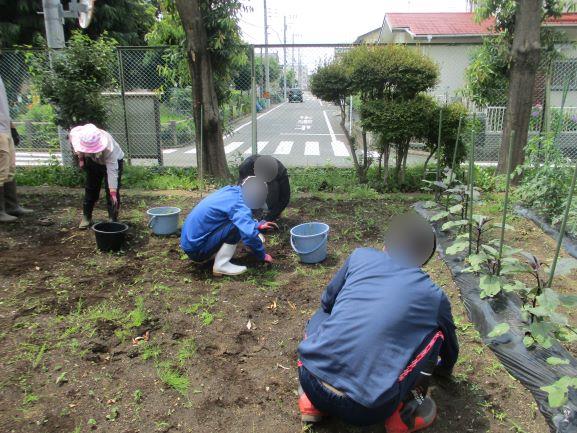 6月12日(金曜日)の生徒のようす10