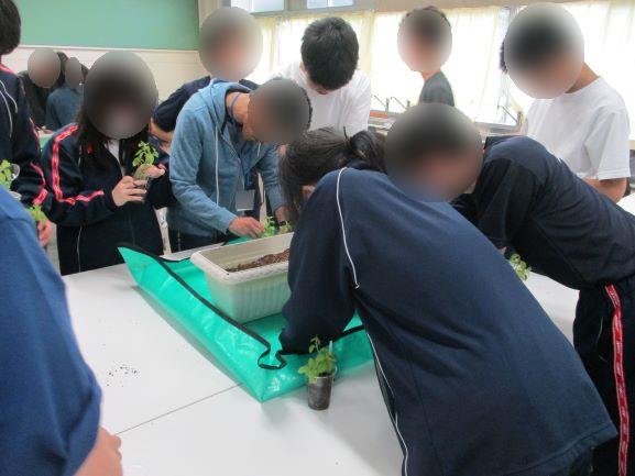 6月18日(木曜日)の生徒のようす04