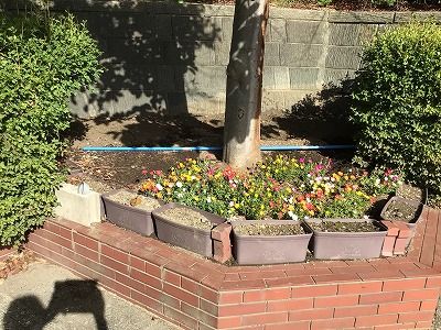 flower_bed1