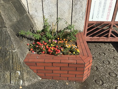 flower_bed3