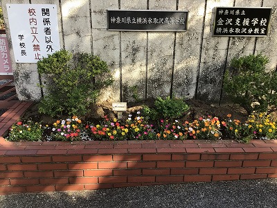 flower_bed4