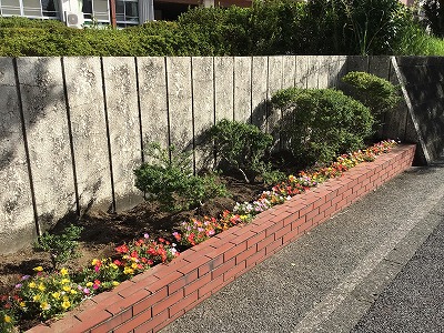 flower_bed5