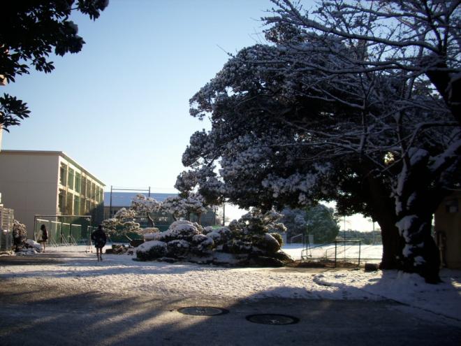 校内雪景色