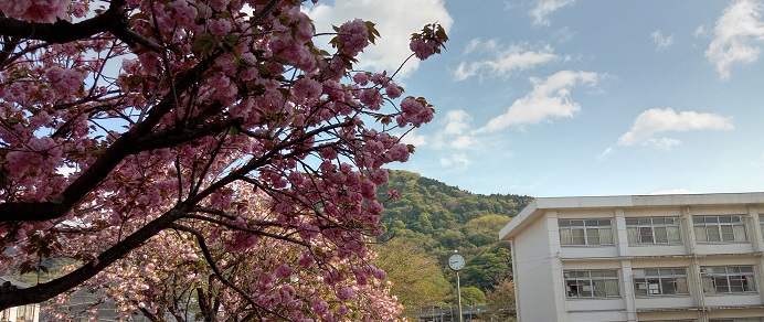 山北高校から見た青空と八重桜
