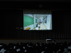 動画鑑賞