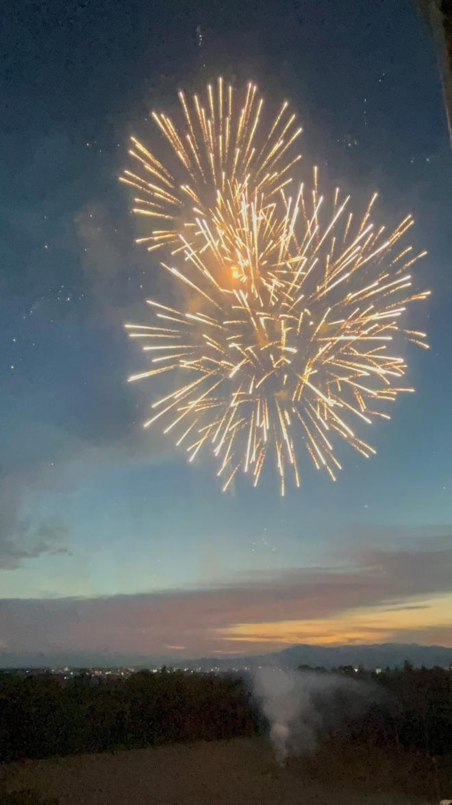 r7seyakosai_koyasai6