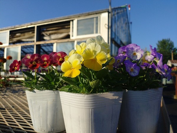 photo1