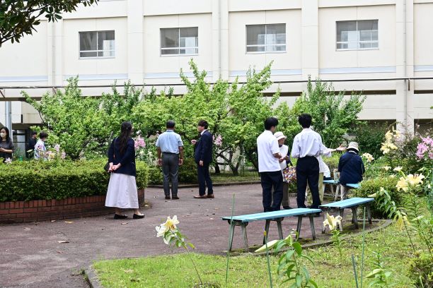 yamayuri_nakaniwa