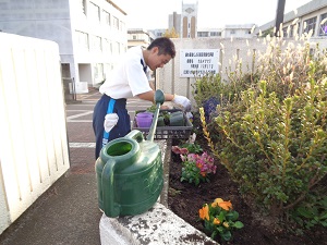 24秋植え1