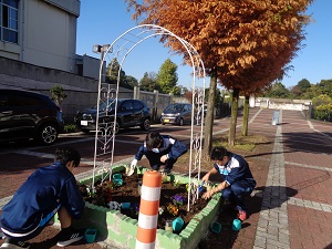 24秋植え4